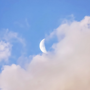 免费观看动漫人物桶动漫人物网站
