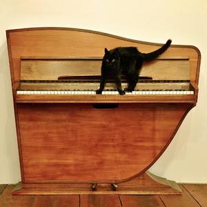 免费观看动漫人物桶动漫人物网站
