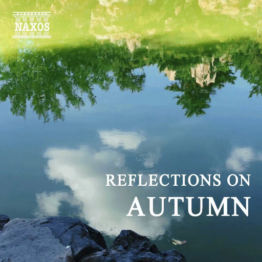 免费观看动漫人物桶动漫人物网站
